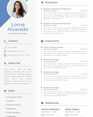 Business CV Resume