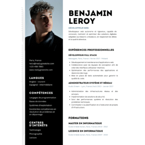 Professional Resume FY