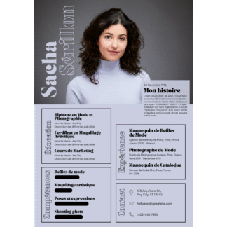 Professional Resume FX