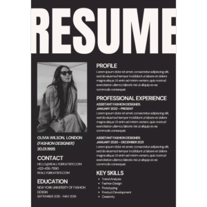 Professional CV  Template LM