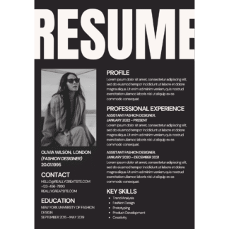 Professional CV  Template LM