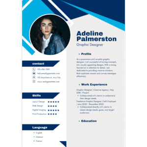 Professional CV  Template BE