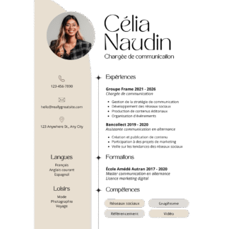 Professional CV  Template FE