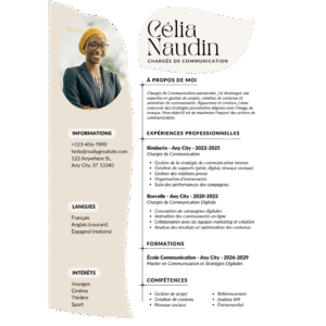 Professional CV  Template FE