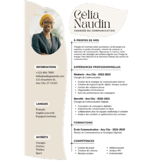 Professional CV  Template FE