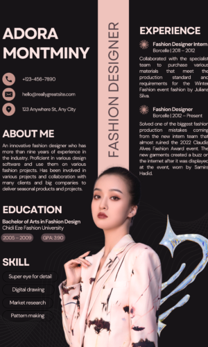 Professional CV Template ALM