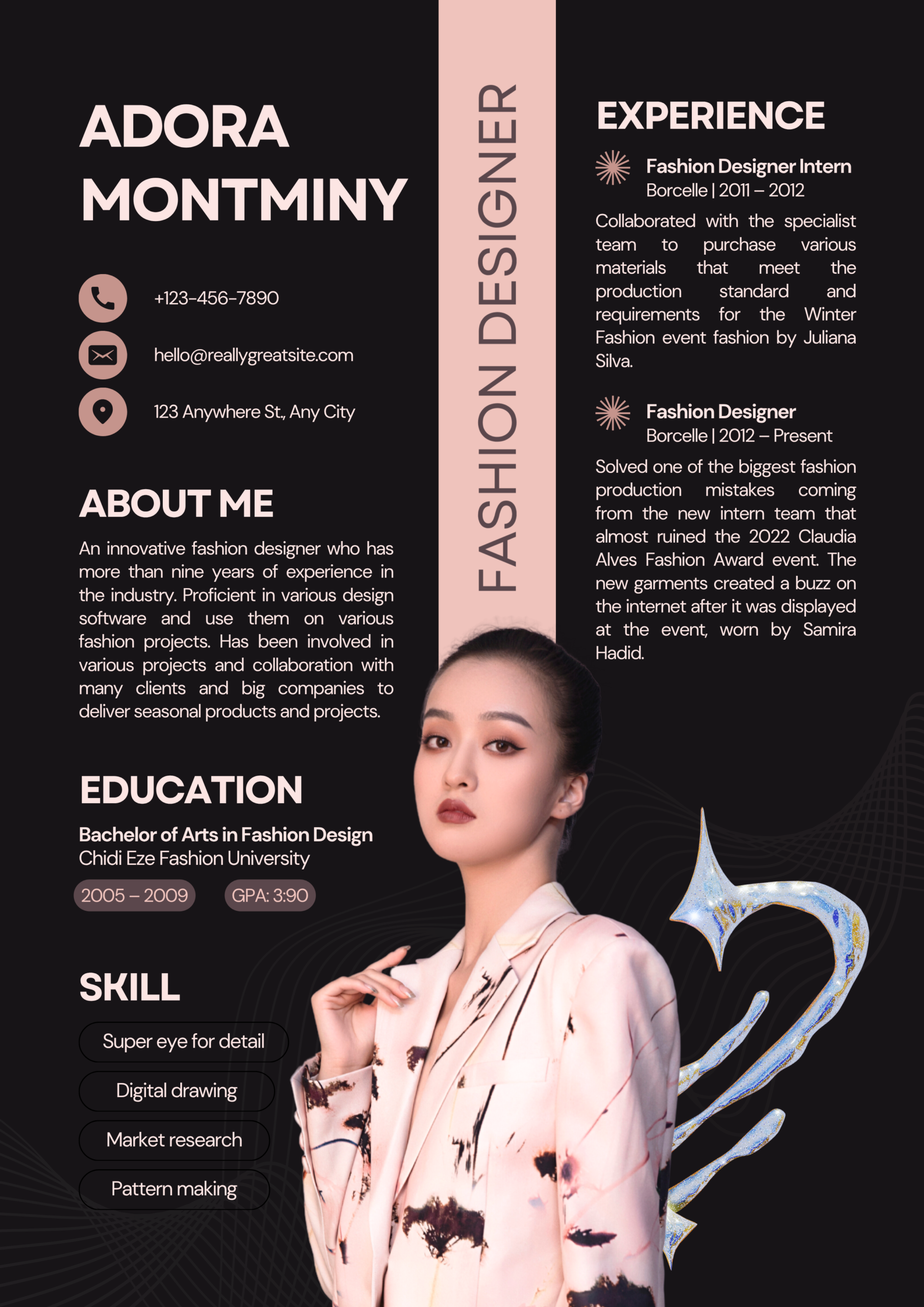 Professional CV Template ALM