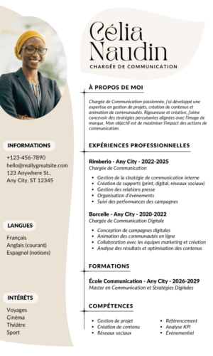 Professional CV Template SIMPLE