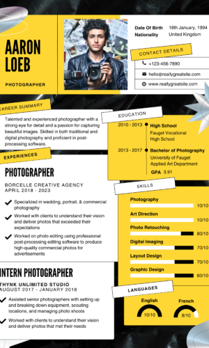 Professional CV Template BOGOS