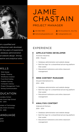 Professional CV Template BIM