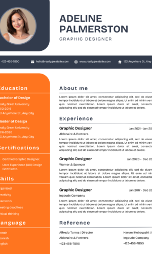 Professional CV Template A
