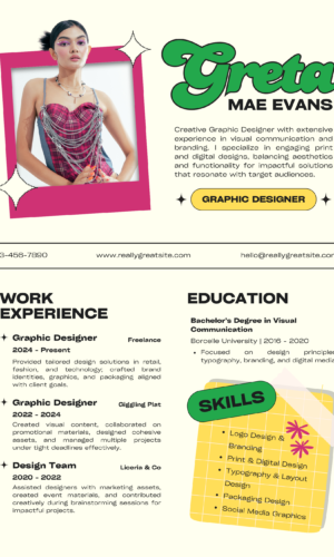 Professional CV Template FM