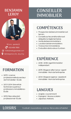 Professional CV Template BE