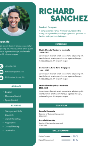 Professional CV Template B